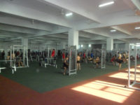 wusengtuanmusculation