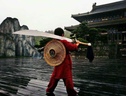 Tai Chi 24 – Erster Teil der Form