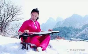 Wudang shaolin kung-fu wushu qi gong Ecole Zhang Hong