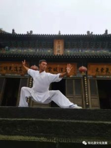 Wudang shaolin kung-fu wushu qi qong Ecole Wang ping an