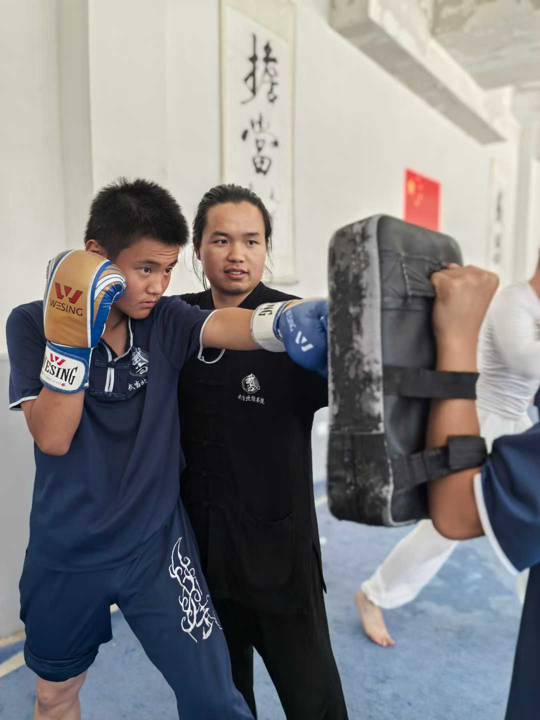 wudang sanda