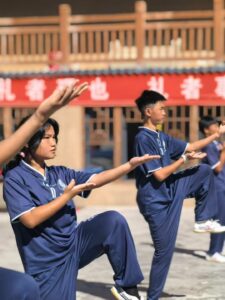 wudang school tao