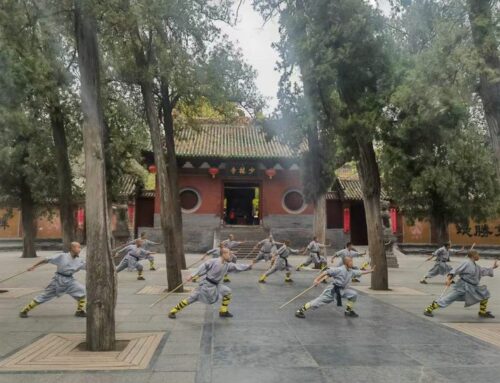 Shaolin : The Legendary Cradle of Buddhist Kung Fu