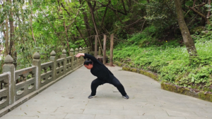 Wudang huo gu qi gong