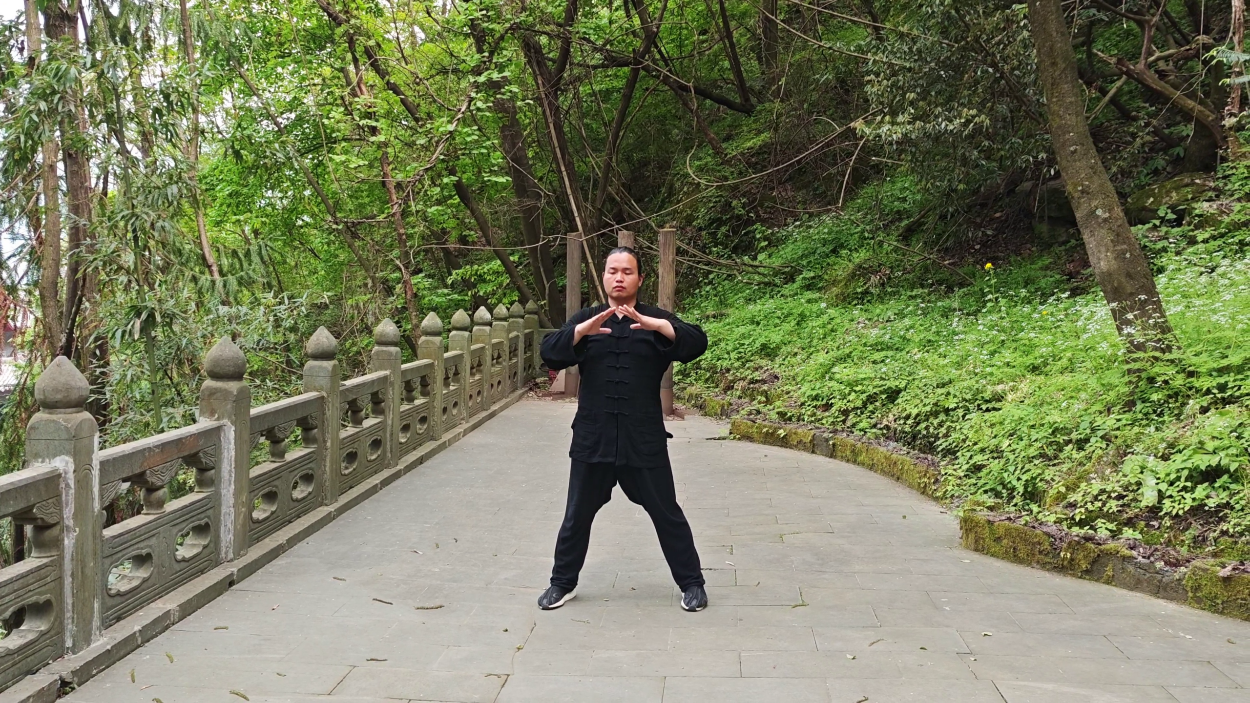 Wudang huo gu qi gong