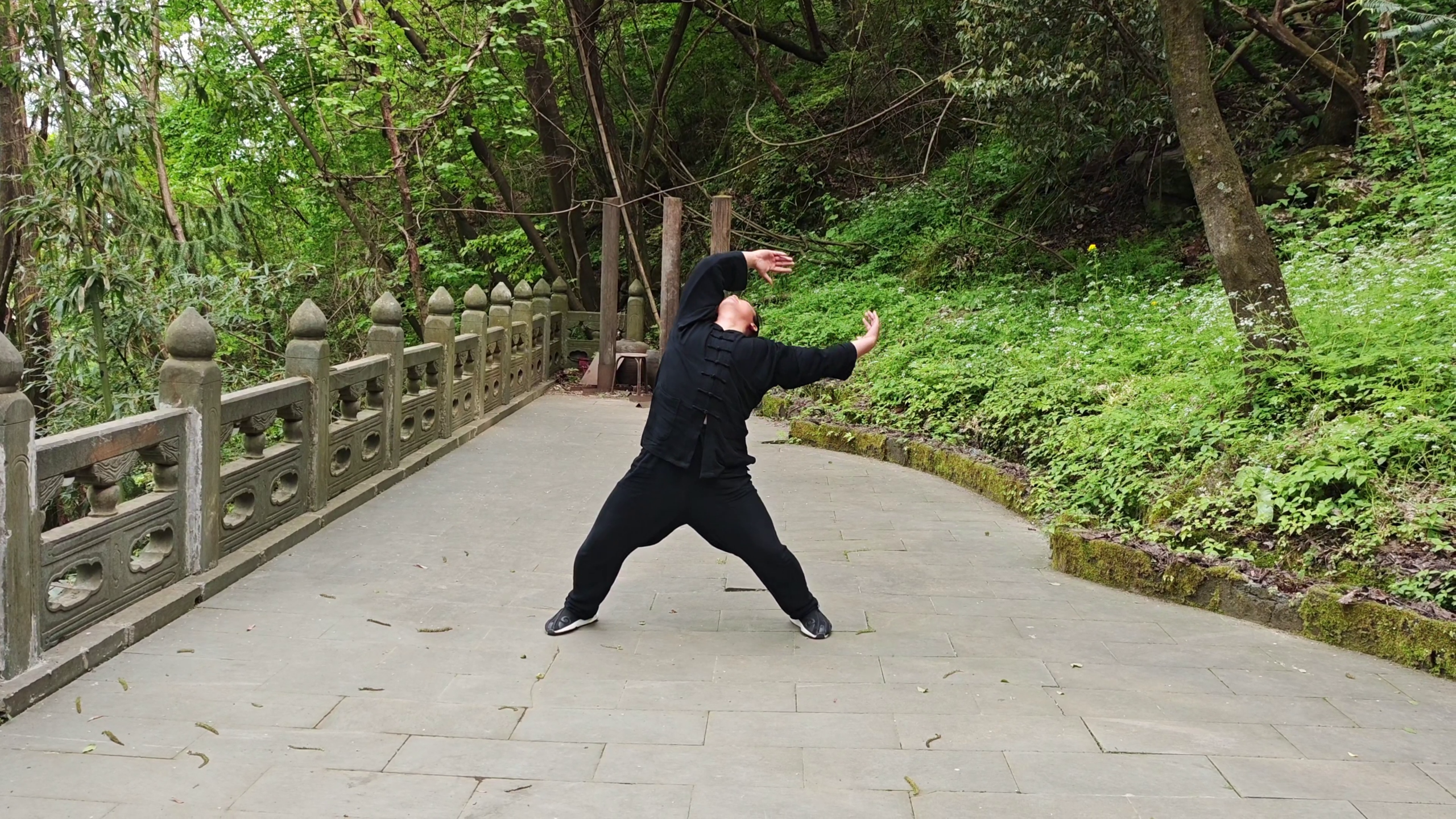 wudang huo gu qi gong