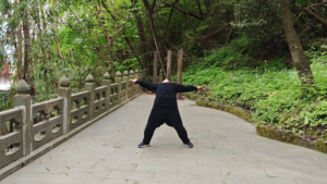 wudang huo gu qi gong