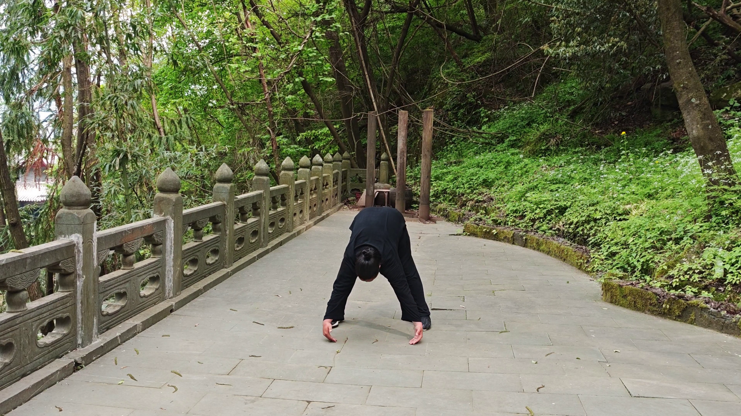 Wudang huo gu qi gong