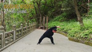 Wudang qi gong