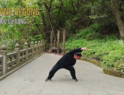 Wudang Huo Gu Gong ( 武当活骨功 ) — Le Qi Gong taoïste pratiqué dans les montagnes de Wudang
